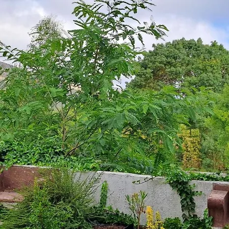 Parreirais Dos Moquinhos Maison d'hôtes Minde