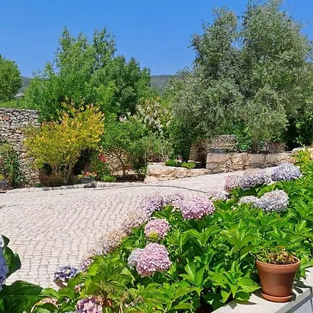 Parreirais Dos Moquinhos