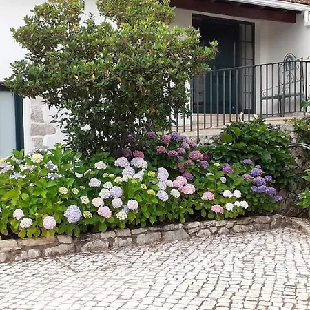 Guest house Parreirais Dos Moquinhos *