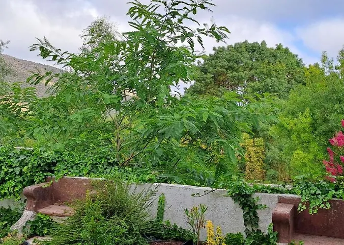 Parreirais Dos Moquinhos ゲストハウス Minde