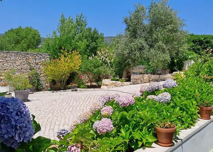 Parreirais Dos Moquinhos